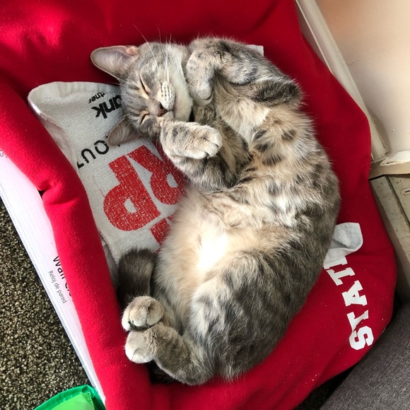 Meet your Posher, Taylor - Picture 7 of 10